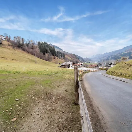 Apartment Large In Sankt Georgen With Balcony Furstau